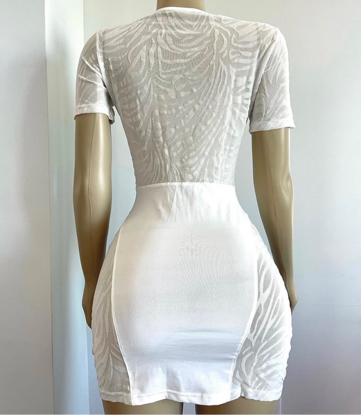 Zoe Glint Mesh Mini Dress