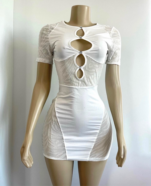 Zoe Glint Mesh Mini Dress