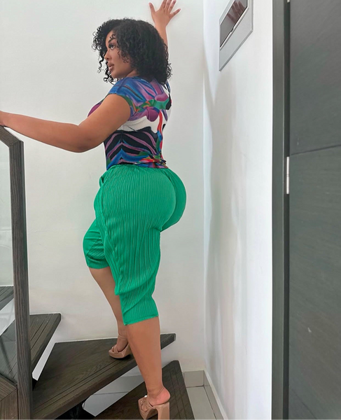 Alani Crush Pleats Pants