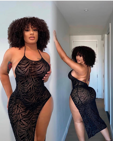 Felina Fierce Dress